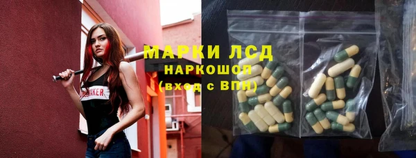 apvp Алзамай