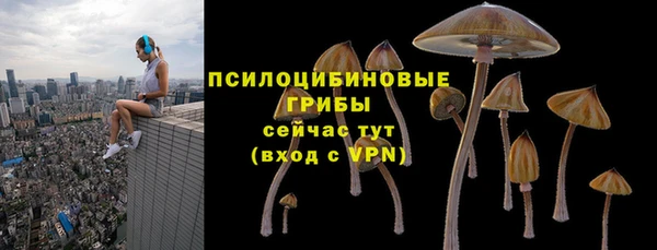 твердый Абаза