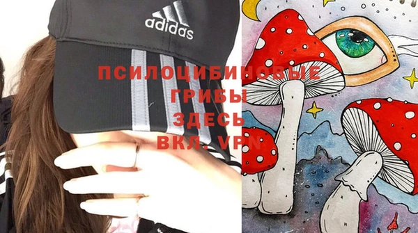 сатива Алексеевка