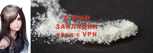 apvp Алзамай