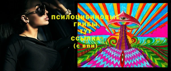 сатива Алексеевка