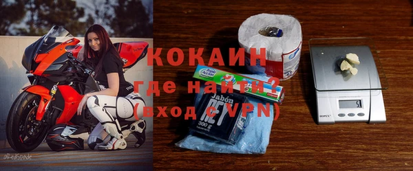 apvp Алзамай