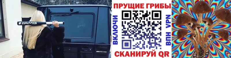 Галлюциногенные грибы Cubensis  Уфа 